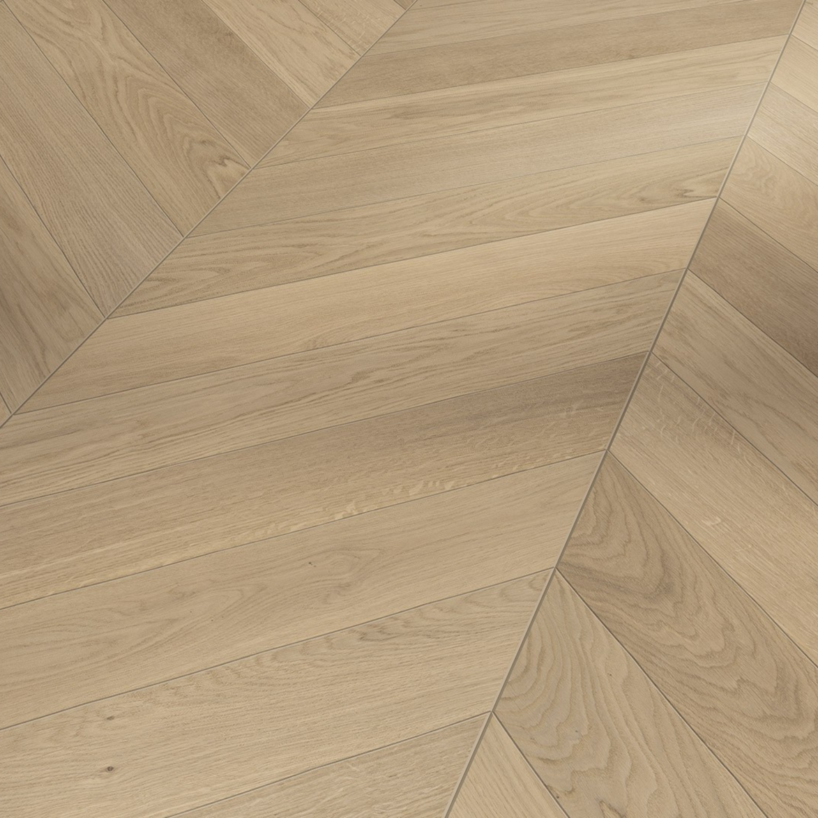 Oak Chevron Parquet